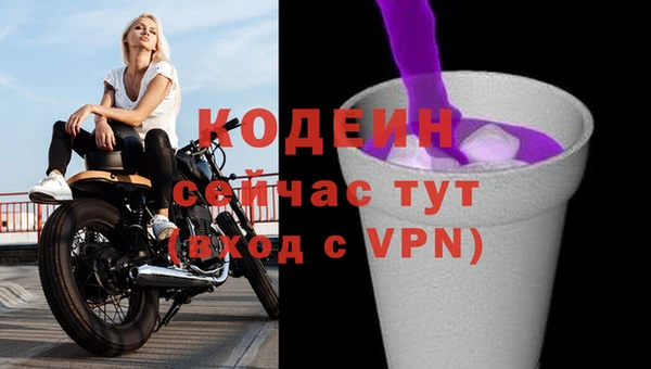 СК Зеленодольск