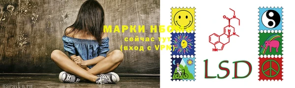 СК Зеленодольск