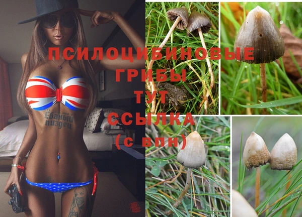 СК Зеленодольск